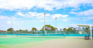 IMGP5953のコピー